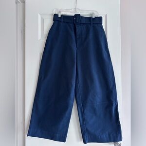 Everlane Barrel Pants with belt Sz 10